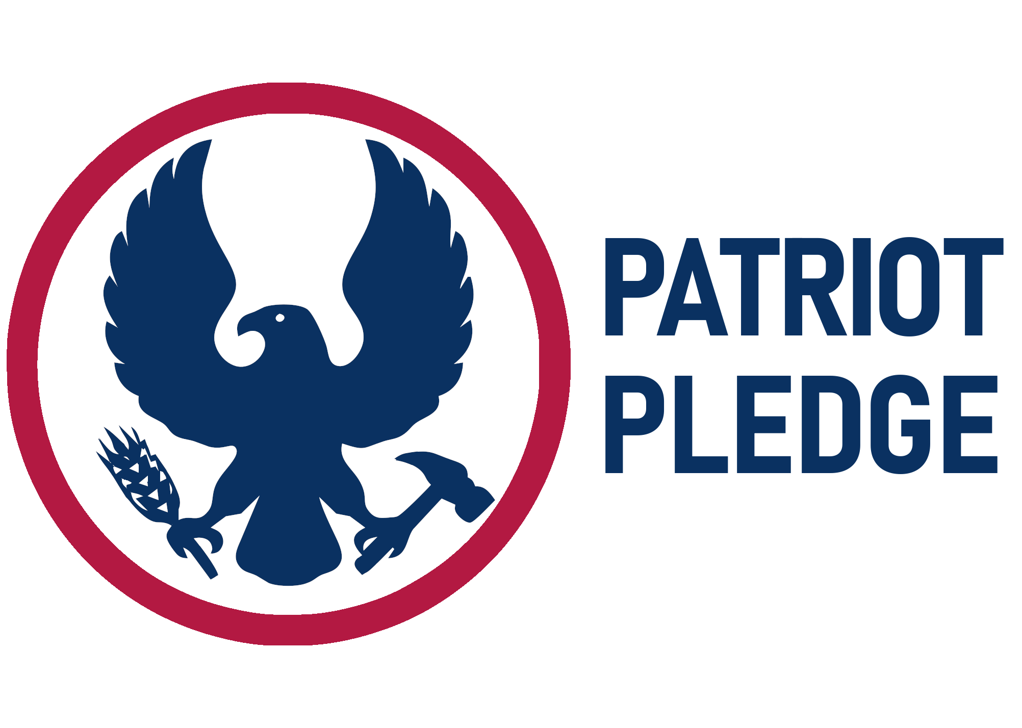 Patriot Pledge